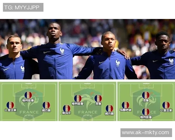回顾法国2016欧洲杯阵容分析与球员表现的深度解读